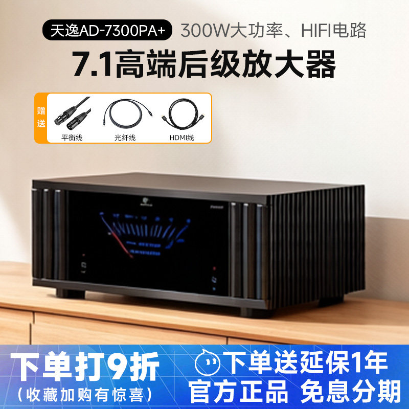 Winner/天逸AD-7300PA+纯后级功放高端发烧定制家庭影院7.1放大器