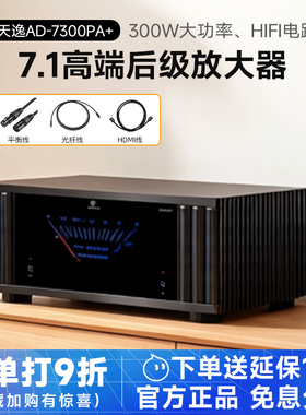 Winner/天逸AD-7300PA+纯后级功放高端发烧定制家庭影院7.1放大器