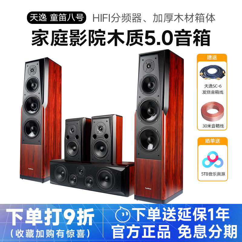 Winner/天逸 童笛八号 TD-8家庭影院音响套5.0装高保真落地木音箱