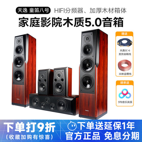 天逸家庭影院落地音箱童笛八号