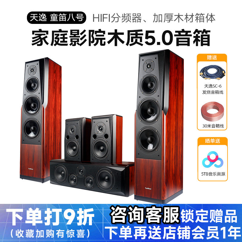 Winner/天逸 童笛八号 TD-8家庭影院音响套5.0装高保真落地木音箱