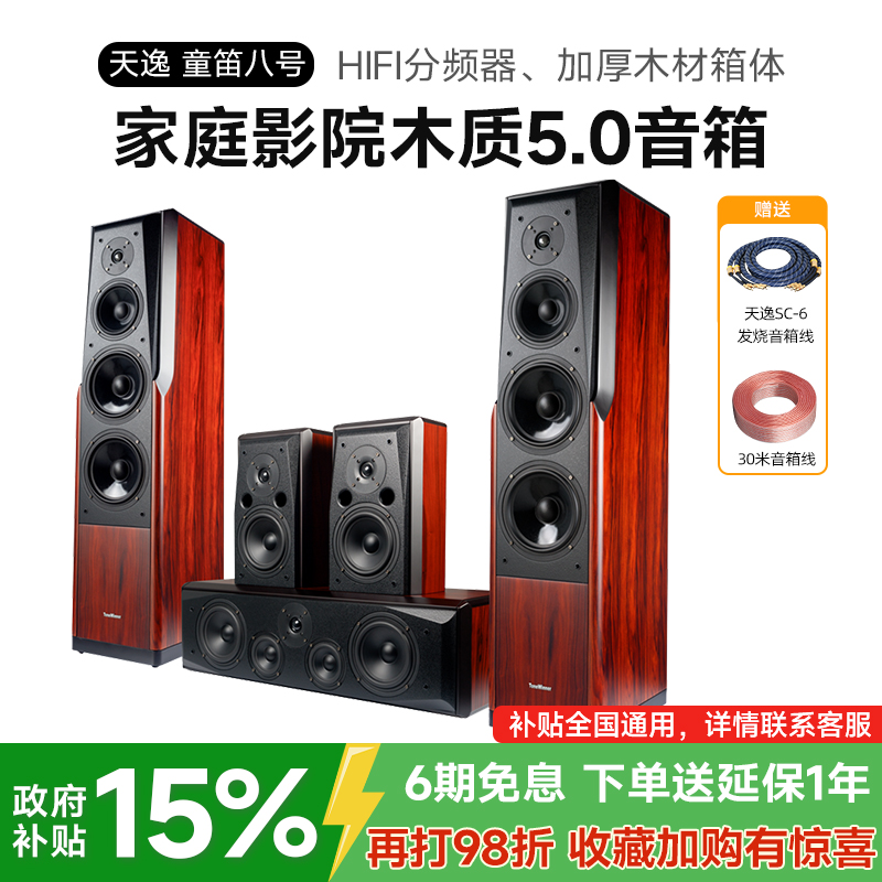 Winner/天逸 童笛八号 TD-8家庭影院音响套5.0装高保真落地木音箱