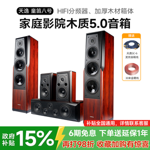Winner/天逸 童笛八号 TD-8家庭影院音响套5.0装高保真落地木音箱