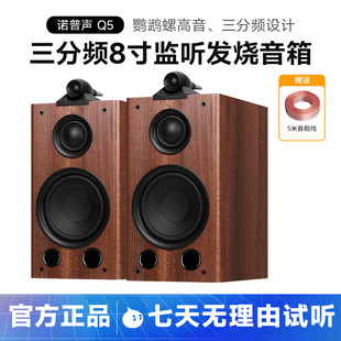 诺普声Q5三分频8寸监听HiFi无源书架音箱鹦鹉螺设计家用发烧音响