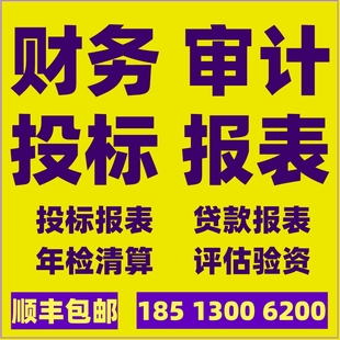 企业投标报表公司制作银行贷款财务报表审计咨询服务年检清算评估