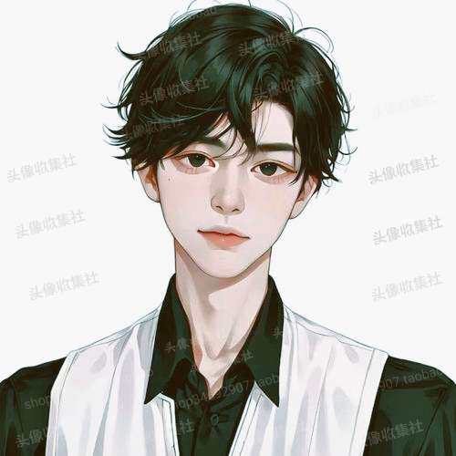 头像男 高清图片卡通动漫手绘 韩系优雅男生 头像收集社 自动发货