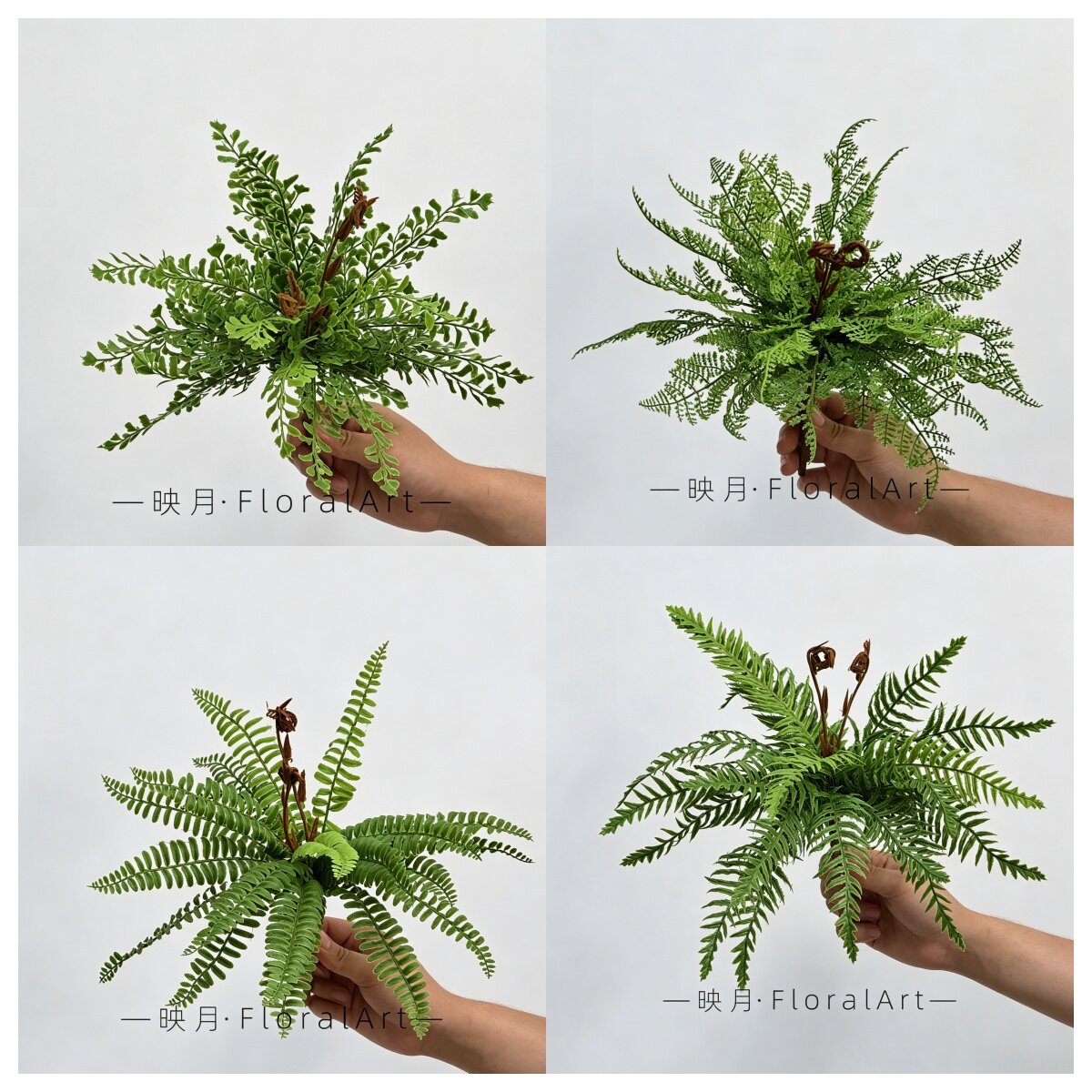 仿真蕨叶排草蕨类波斯草植物蕨叶蕨草软胶植物墙波斯叶鱼尾蕨花