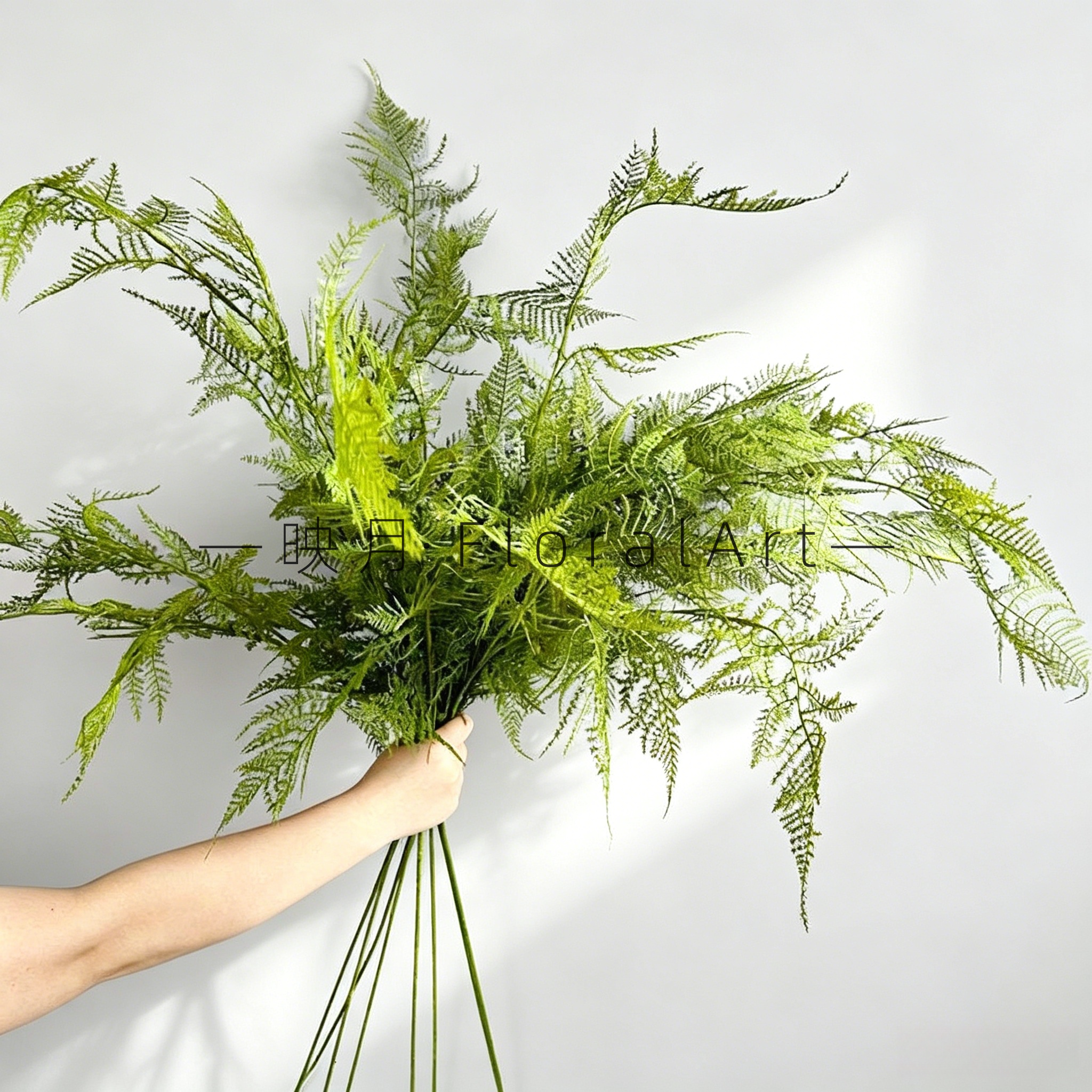 彷真文竹禅意古风摆放家居装饰彷真云片松刺蕨草植毛文竹中式文竹