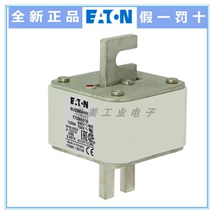 Bussmann 熔断器 170M6016 6017 6018 6019 6020 6021保险丝 690V