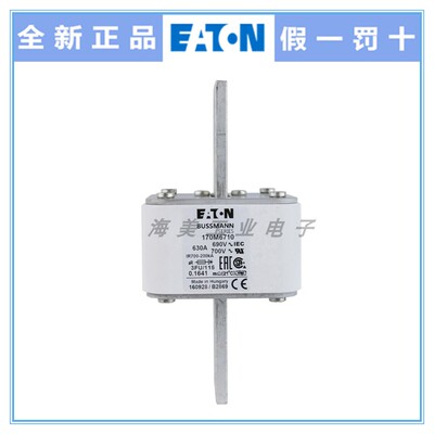 Bussmann 熔断器170M6709 6710 6711 6712 6714 6716 6717 保险丝