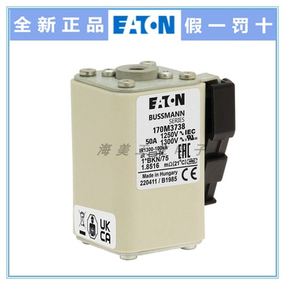 Eaton Bussmann 熔断器170M3738 3739 3740 3741 3742保险丝1250V