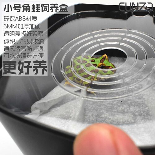 迷你角蛙发色安全饲养盒