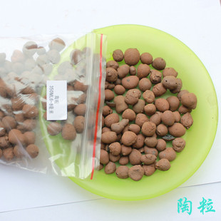 陶粒 透气土壤 300ML垫底陶粒吸水保水净化空气多肉植物料花土