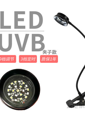 LED晒背灯UVB促进钙吸收