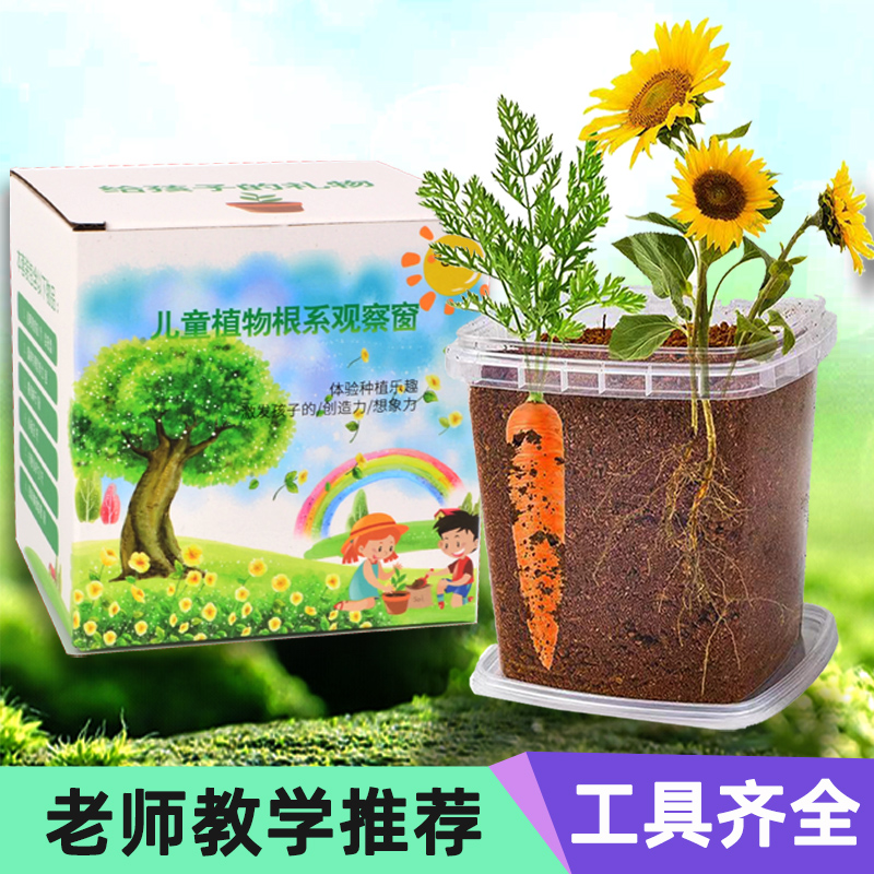儿童种植小盆栽种植观察套装