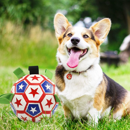 Футбольная интерактивная игрушка для тренировок