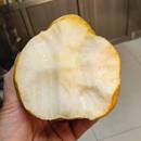 烟台丑梨软糯多汁佛手梨太婆大头梨香甜梨子中华丑梨