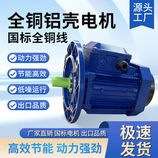 6P通用电机防水电机 三相电机380V 永邦YE2三相异步电动机