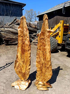 琥珀木松明子千秋大叶摆件沉化老料北沉香造型原木料高油茶台茶盘