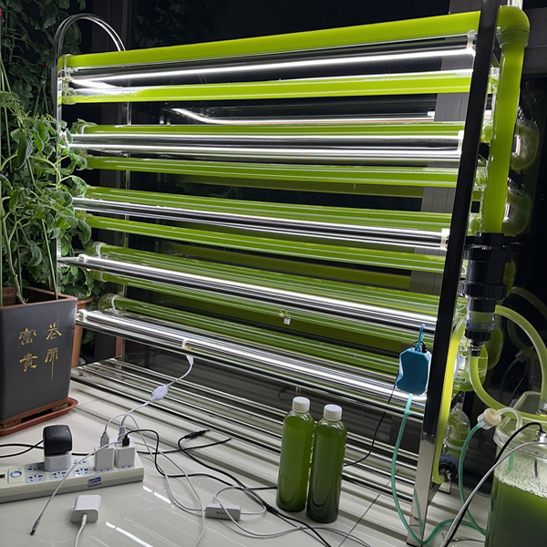 小球藻培养设备光生物反应器快速水质调节剂