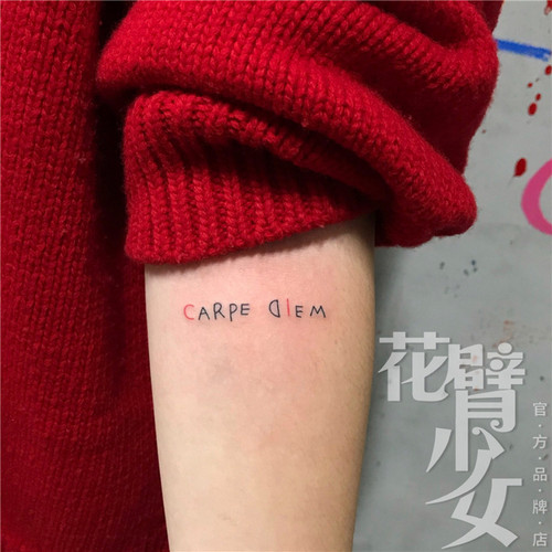 花臂少女TATTOO 168 线条英文字母纹身贴 及时行乐英文carpe diem