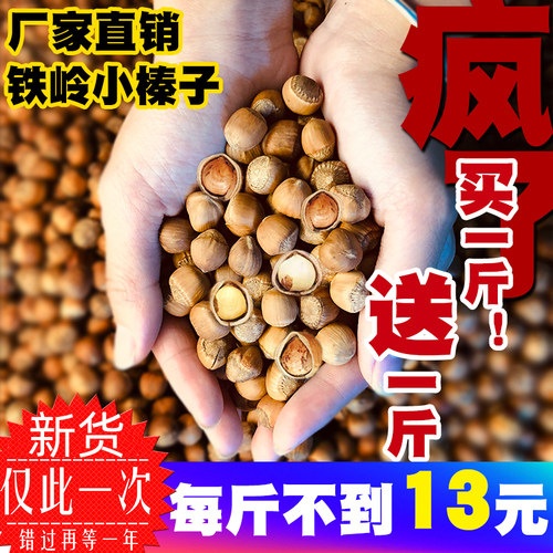 2025新货东北铁岭开原野生榛子山榛子薄皮水漏手拍榛子坚果零食熟