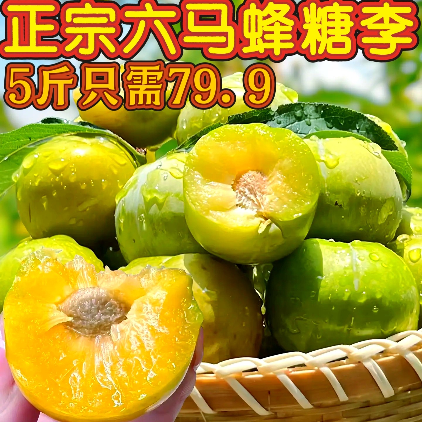 正宗贵州六马蜂糖李安顺镇宁冰糖李子当季新鲜水果脆甜脱骨蜂蜜李