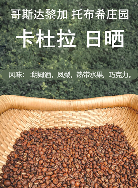 COSTA RICA TOBOSI 托布希庄园日晒咖啡豆227g COE获奖庄园