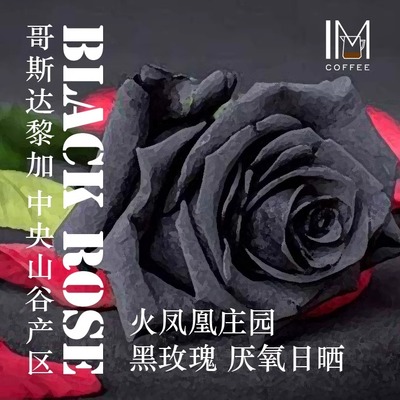 哥斯达黎加黑玫瑰进口咖啡豆