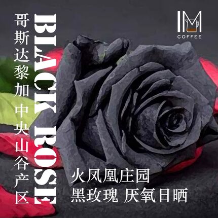 哥斯达黎加 火凤凰庄园 黑玫瑰咖啡豆 甄选黑金批次115克装