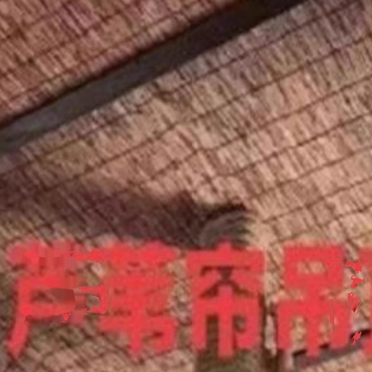 装修芦苇草卷帘窗帘玻璃阳台阳光房遮阳遮光升降防晒隔断装饰遮挡