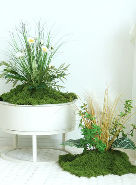 仿真绿植苔藓客厅落地景观装饰品
