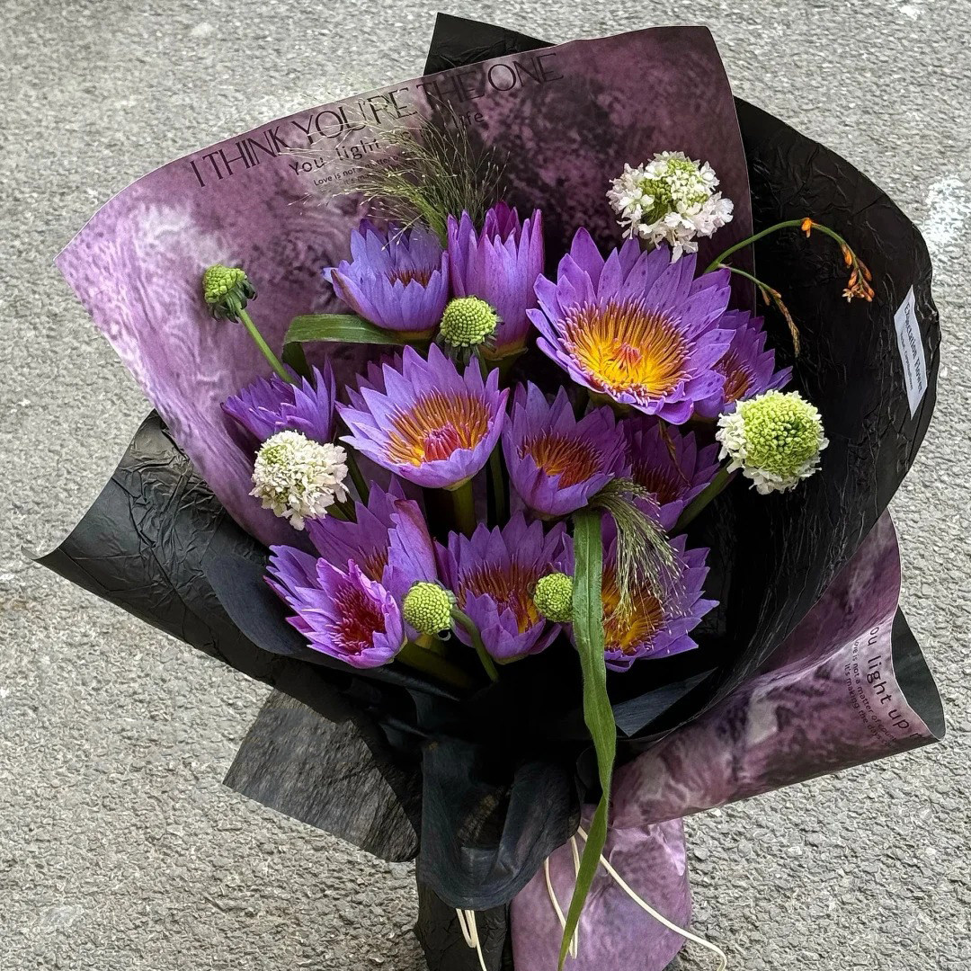 北京上海广州生日鲜花速递同城配送全国高级鲜切花莲蓬睡莲花花束