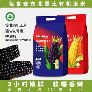 东北每食安有机黑糯玉米黑土种植新鲜真空锁鲜黄玉米粗粮轻食代餐