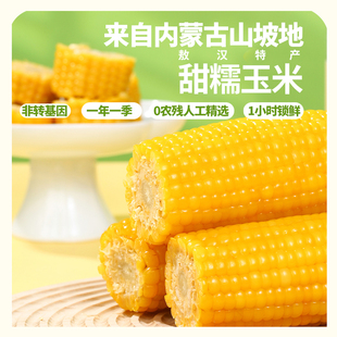 内蒙古敖汉金穗旺禾甜糯玉米真空装黏玉米白糯黄糯非转基因玉米