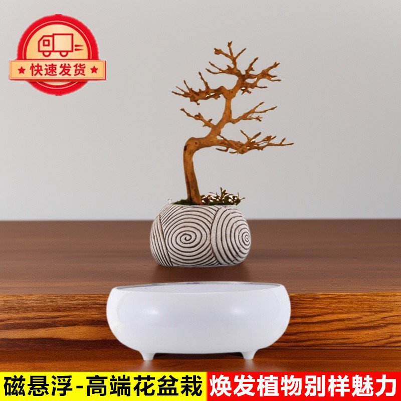 磁悬浮花盆栽情绪稳定解压办公室桌面摆件花草绿植物装饰品展示台