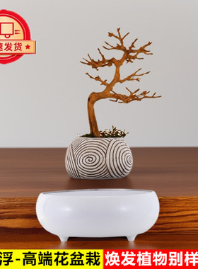 磁悬浮花盆栽情绪稳定解压办公室桌面摆件花草绿植物装饰品展示台