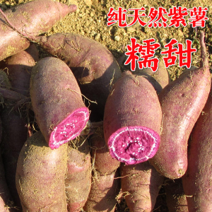 农家自种现挖新鲜黑色大地瓜山芋小紫甘薯无添加迷你番薯源头直发