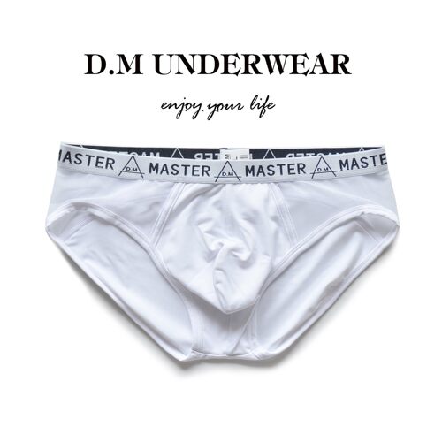 D.M男内裤低腰性感男三角裤网眼透气透明网纱夏季新正装运动纯色