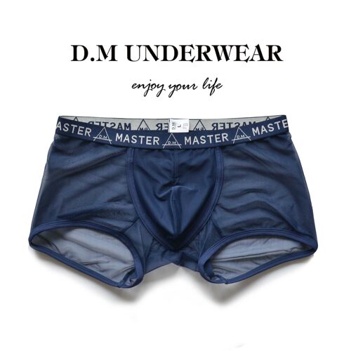 D.M男士内裤低腰网眼网纱透气情趣透明四角裤青年夏运动情趣商务