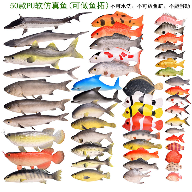 包邮仿真淡水鱼大小龙虾螃蟹海鲜模型红锦鲤多宝桂花黄鲈鲫鲟拓印