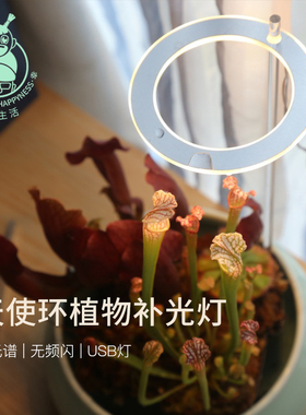 植物生长灯光谱全led灯仿太阳灯上色室内家用灯管usb多肉补光灯