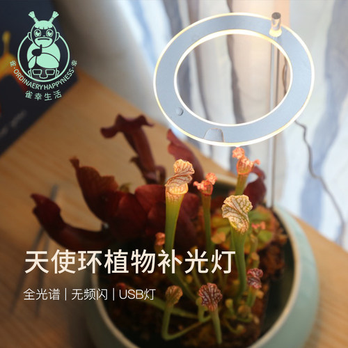 上色家用usb食虫新品多肉补光灯