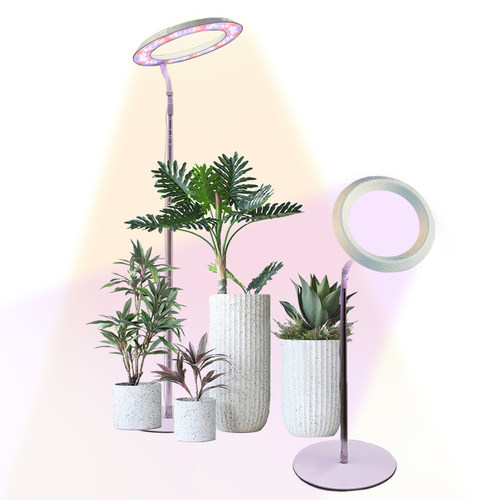 植物生长灯LED天使环大光环PRO全光谱多肉补光室内植物新品补光灯