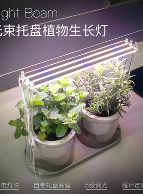光束条灯带托盘底座植物生长灯自动定时室内桌面小型植物补光灯