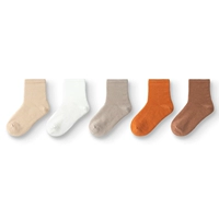 Твердый цвет желтый (нет ног, не измельчающих - пять пар)