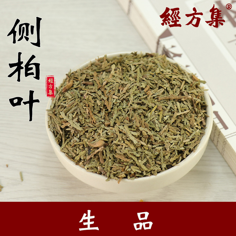 【经方集】侧柏叶中药材野生打生侧柏叶粉生柏叶100/250g/500克