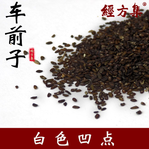 【经方集】车前子中药材打车前子粉野生江西产100/250g/500克
