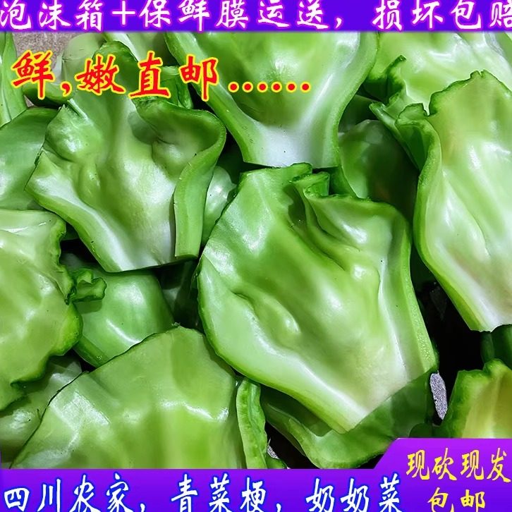 四川广安特产泡菜用青菜奶奶菜当季新鲜青菜梗芥菜梗青菜片青菜块,水产肉类/新鲜蔬果/熟食,叶菜类,淘宝优惠券,粉丝福利购,淘宝优惠卷
