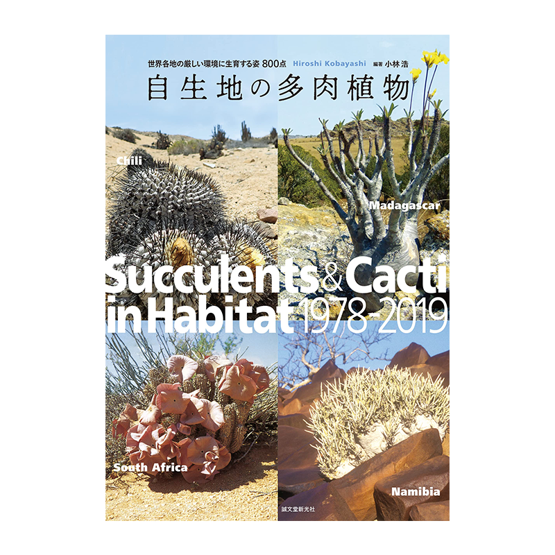 进口原版野生多肉植物小林浩